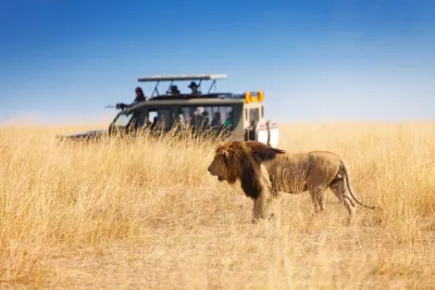 Kenya: safari e spiagge